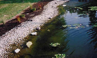 pond liner five photo