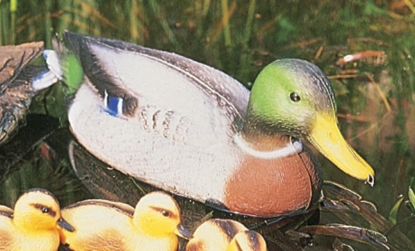 10 Pieces Baby Duckings Floating Decoy Ducks Mallard Plastic Ornament Pond 